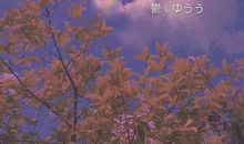 说让女朋友开心的句子