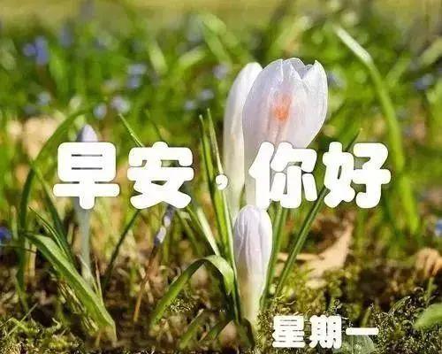 新周开始时的简短句子1
