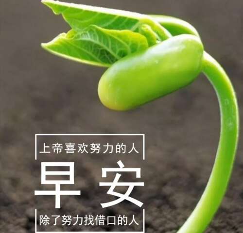 谈论新一周的开始