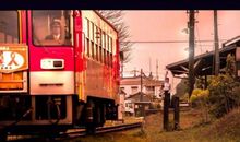 同事出去旅游玩的开心的句子