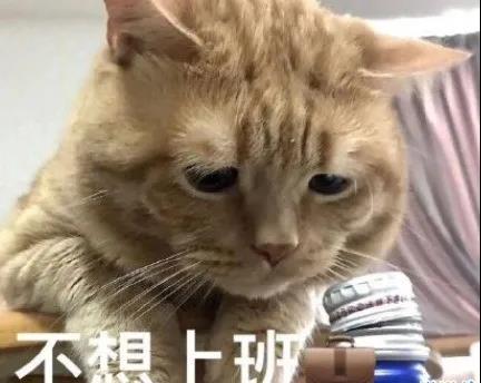 2月2日谈谈我不想要的事