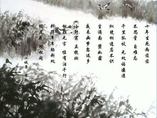 表示爱的诗