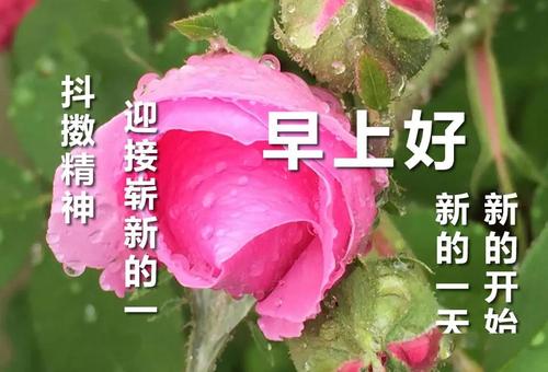 十一月的问候