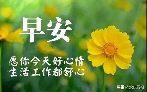 十一月的问候