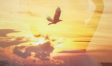 美好开心的心情短语