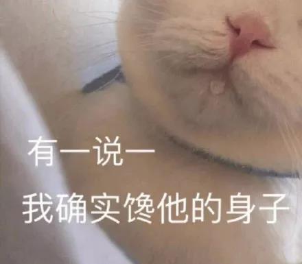 老虎狼语文案写作合集1