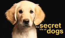 暖心表白感动到哭