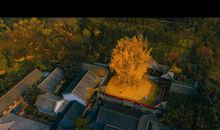 因为你我开心不起来的句子