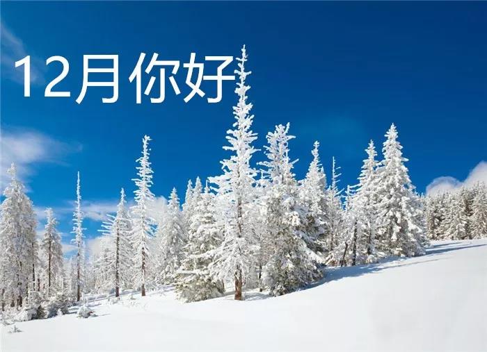 十二月你好美丽的句子