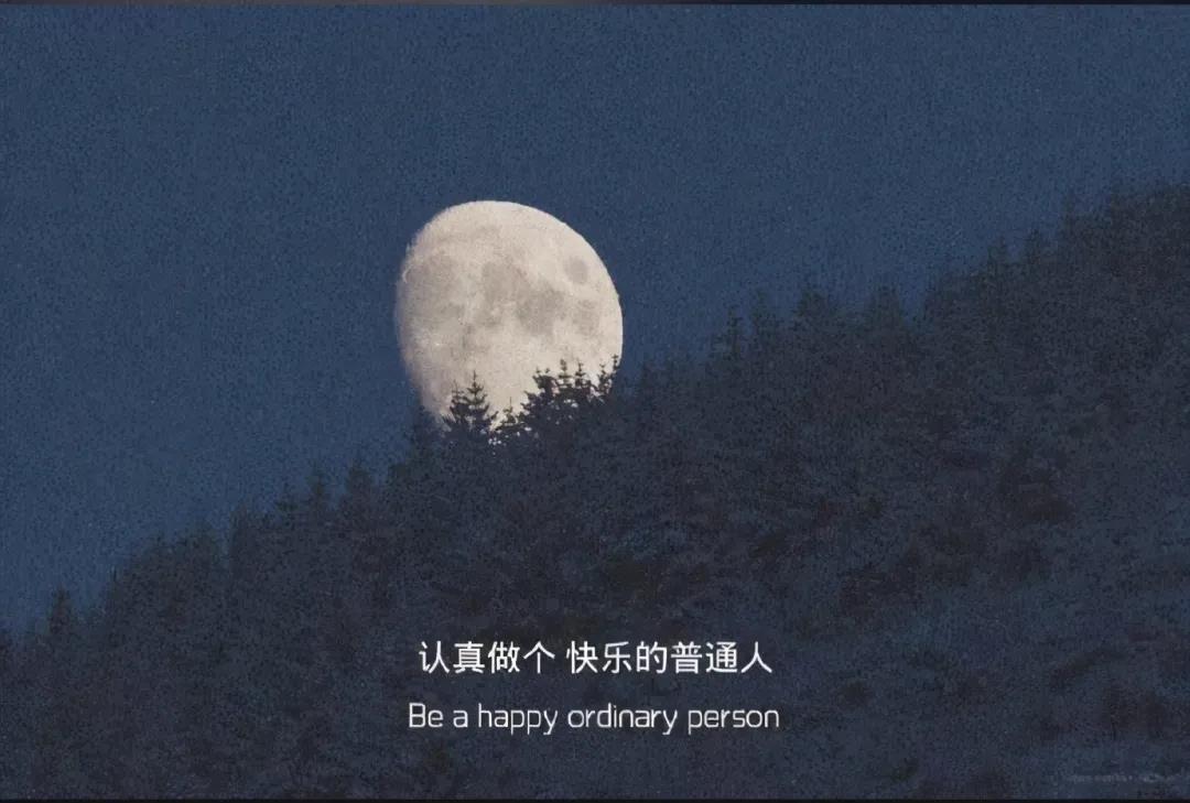 惊人而美丽但利基的句子2