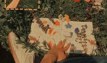 12月发朋友圈的句子