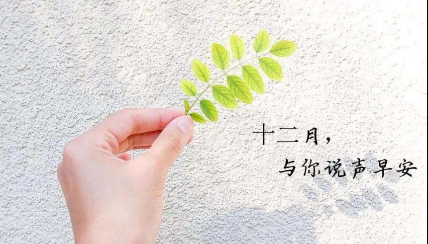 十二月文案图片