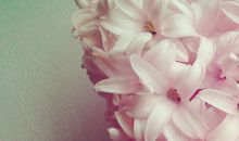 温暖阳光开心的句子