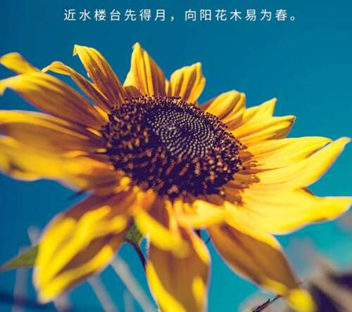 经典短句