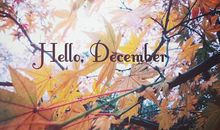 2020十二月朋友圈优美文案