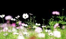 形容早安开心快乐的句子