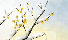 冬至带图说说温馨祝福语