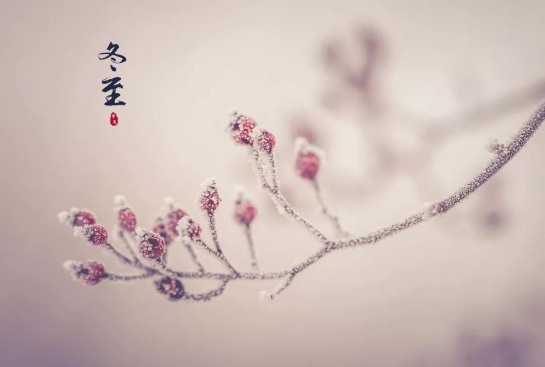 关于冬至的句子2