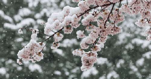 冰雪节诗