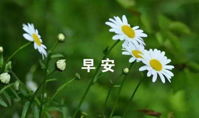 温馨早安问候短信3