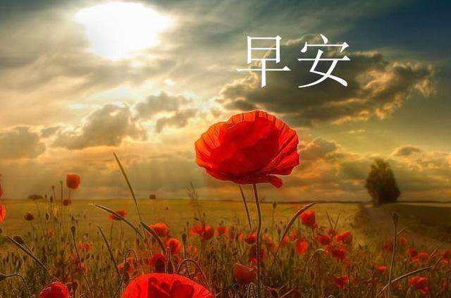温馨早安问候短信2
