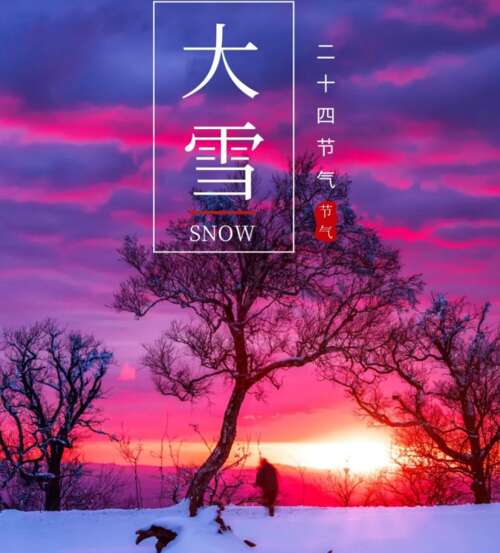 斯诺伊谈论这句话