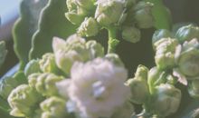 分分合合优美句子