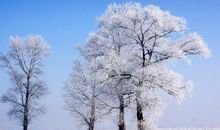 描写冬天大雪的诗句