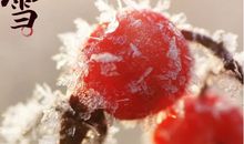 大雪节气图片大全