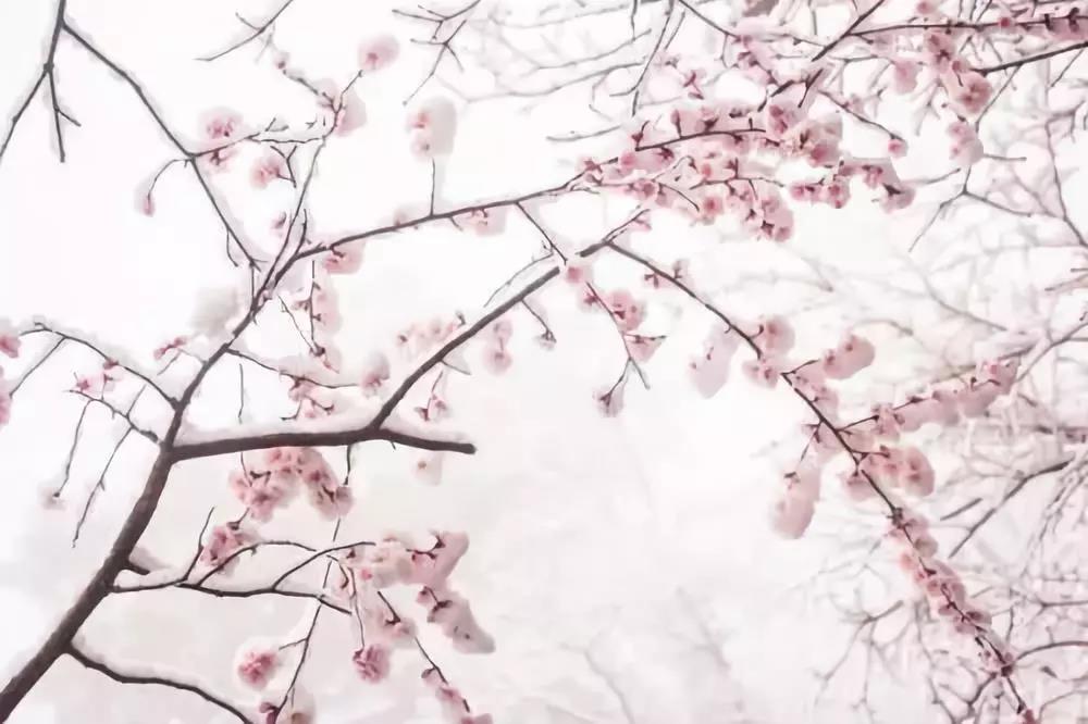 描述冬季雪诗2