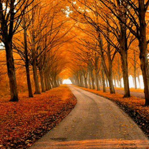 autumn