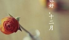 2020年十二月发朋友圈的句子