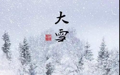 斯诺伊美丽的野外案例