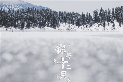 15.我曾经认为我在2020年只剩下一个月。