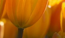 一个人心烦句子