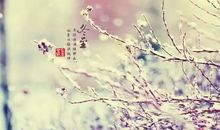 描写冬至的古诗句