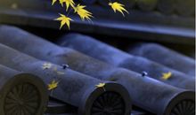 千古绝句最美句子