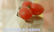 阳光励志的句子简短