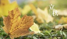 表示没劲心烦的句子