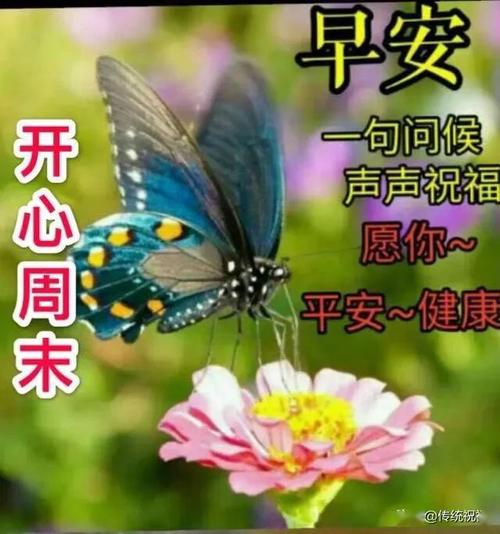 周末迎接报价温暖和短暂