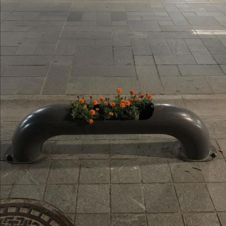 圣诞节夏娃问候