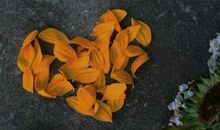 听过后让你觉得心酸的句子