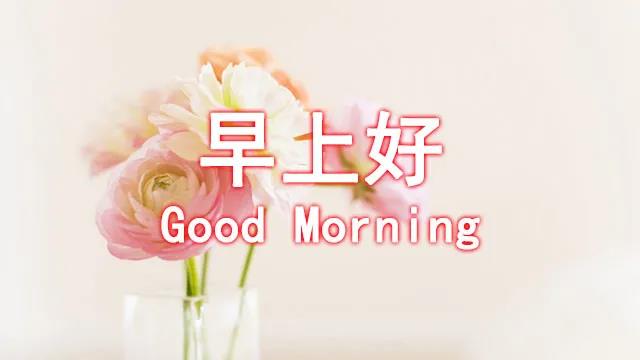早期和平判决是微妙，非常温柔，早期，心脏语言2