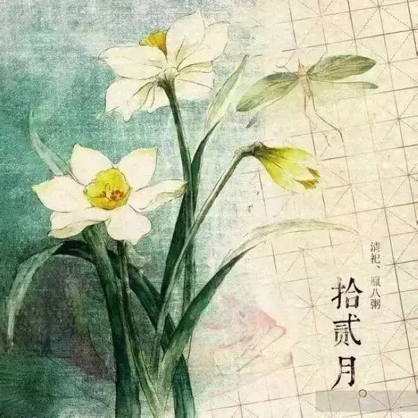 12月，可爱的句子适合朋友圈