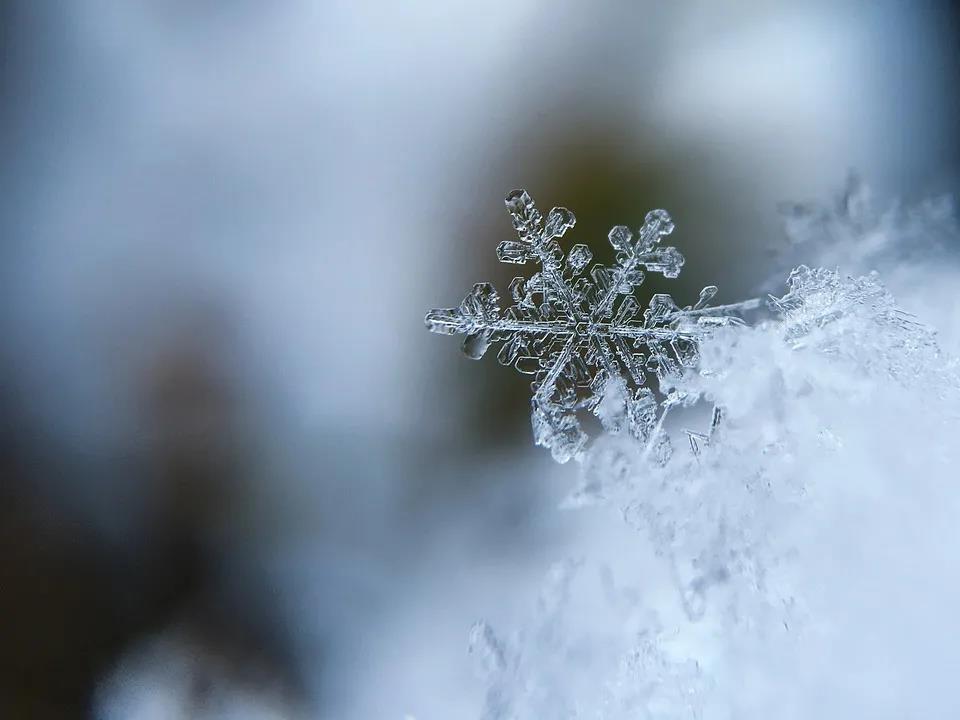 雪星文学案例1