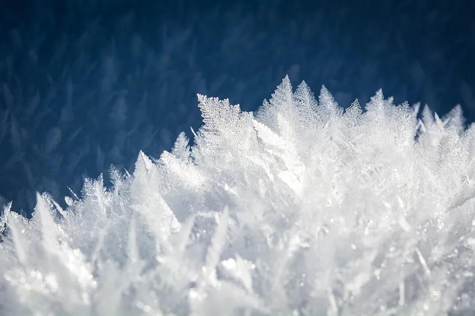 雪星文学案例2