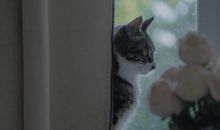 一个人过年的伤感说说