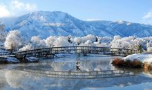 关于描写小寒的优美句子