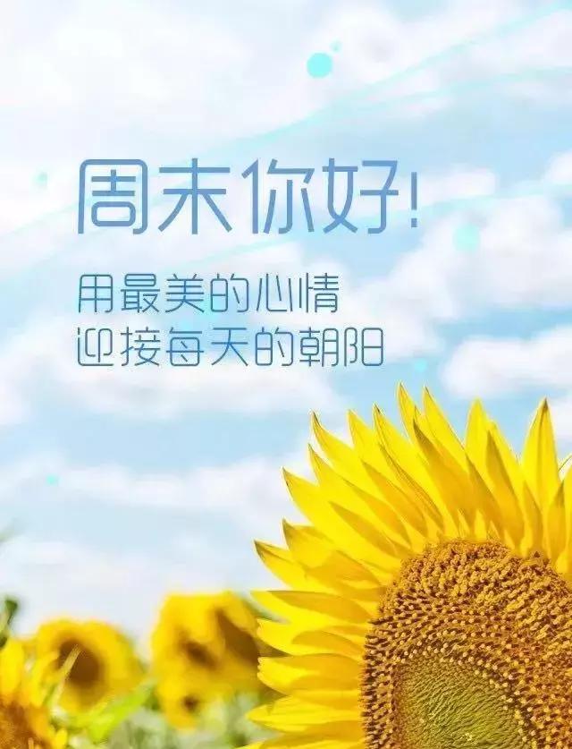 15，爱上众神，看着你，你很忙一周，你会给你一个事情。命令您必须度过一个愉快的周末，等待下周的“冒险”！