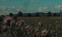 三观超正的暖心文案